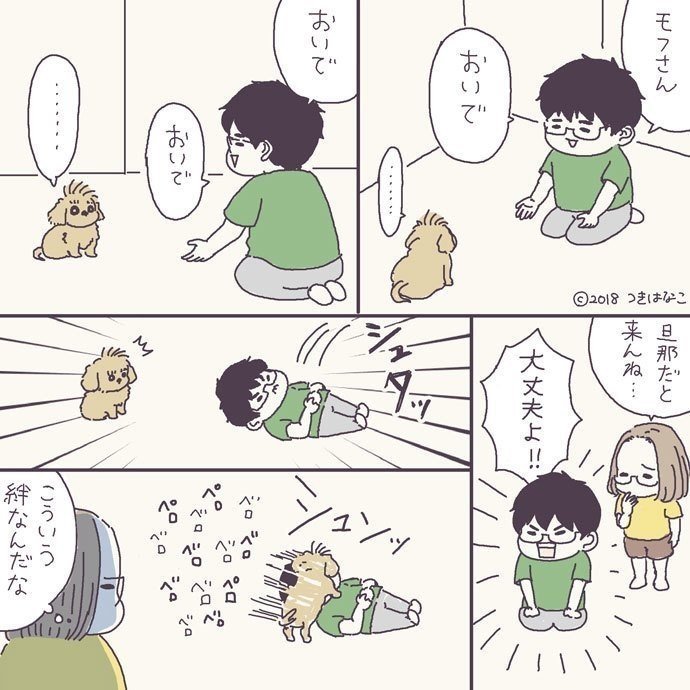 おいでの代わりに