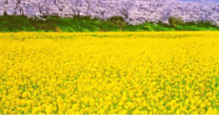 837ccaaaf4052a11c9c74250f1409e