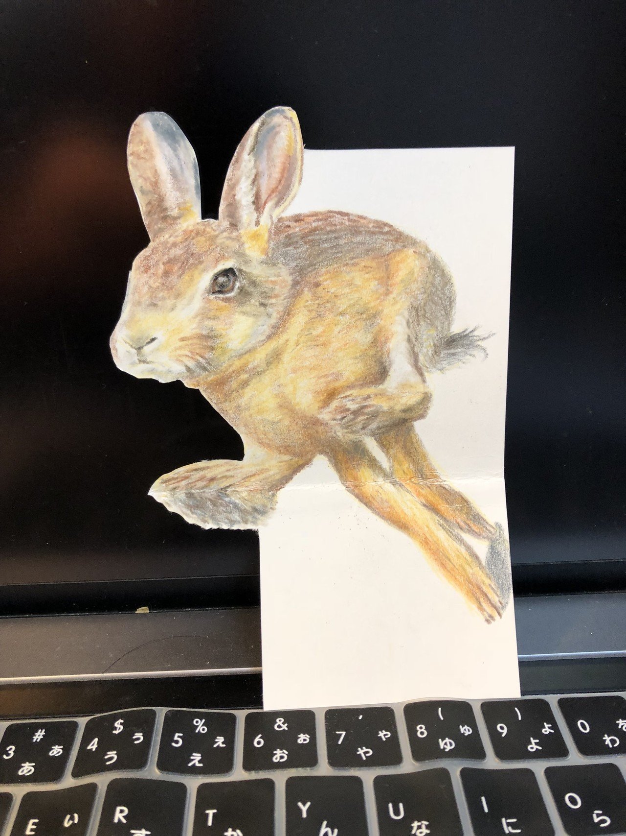 野うさぎの疾走 Angelrabbits Note