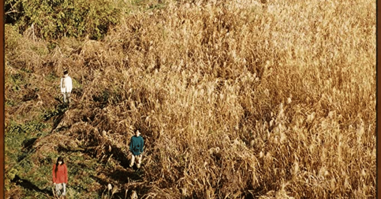 傷ついたウィノナライダーって誰？？｜たたたたた