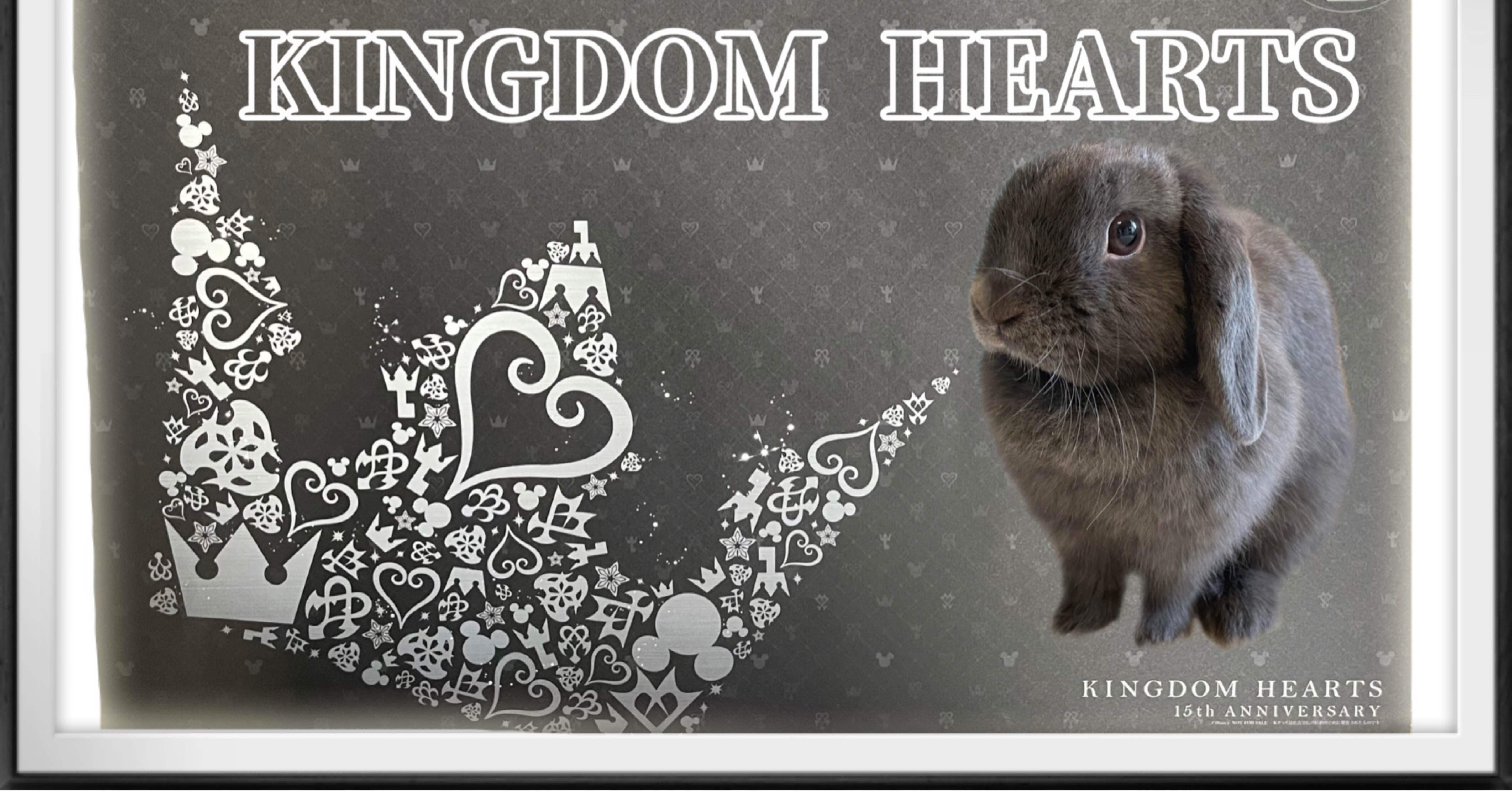 オタクへの扉 Kingdom Hearts キングダムハーツ 周年 げーらびーず Note