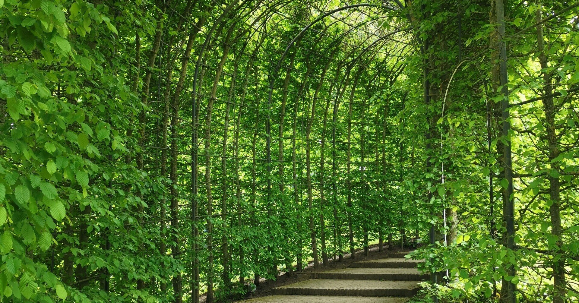 ガーデンクォーツ - 豊穣の庭 -｜yujiscope