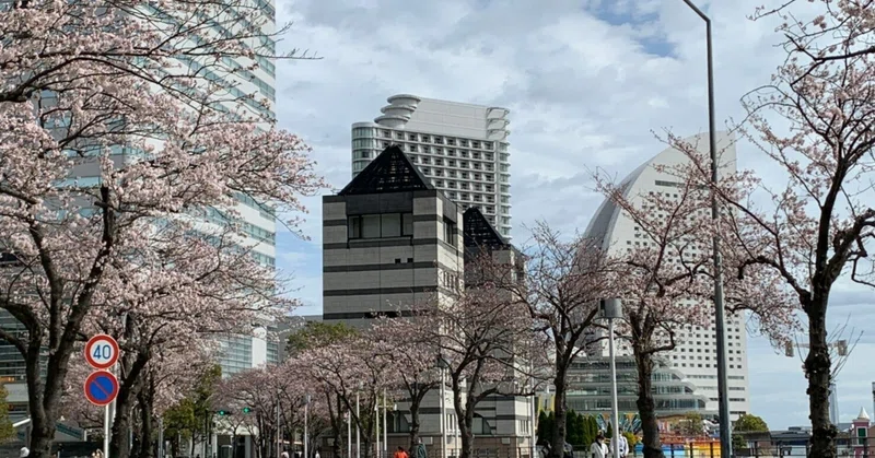 桜に包まれたお母さんのアジト 姥桜 には 色香があるというが めったに出せないらしい ただ 歳を取るだけではダメらしい 桜守から灯台守への道とは 藤本裕子 Note
