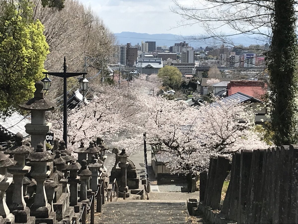 模写 加藤清正 南無妙法蓮華経 日蓮宗 裏書きあり、合箱、安土桃山