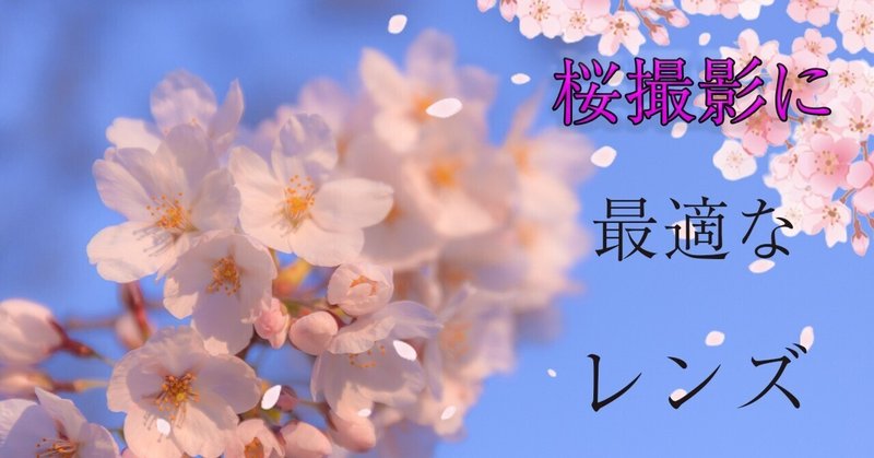 桜撮影に最強のレンズはこれだ！！