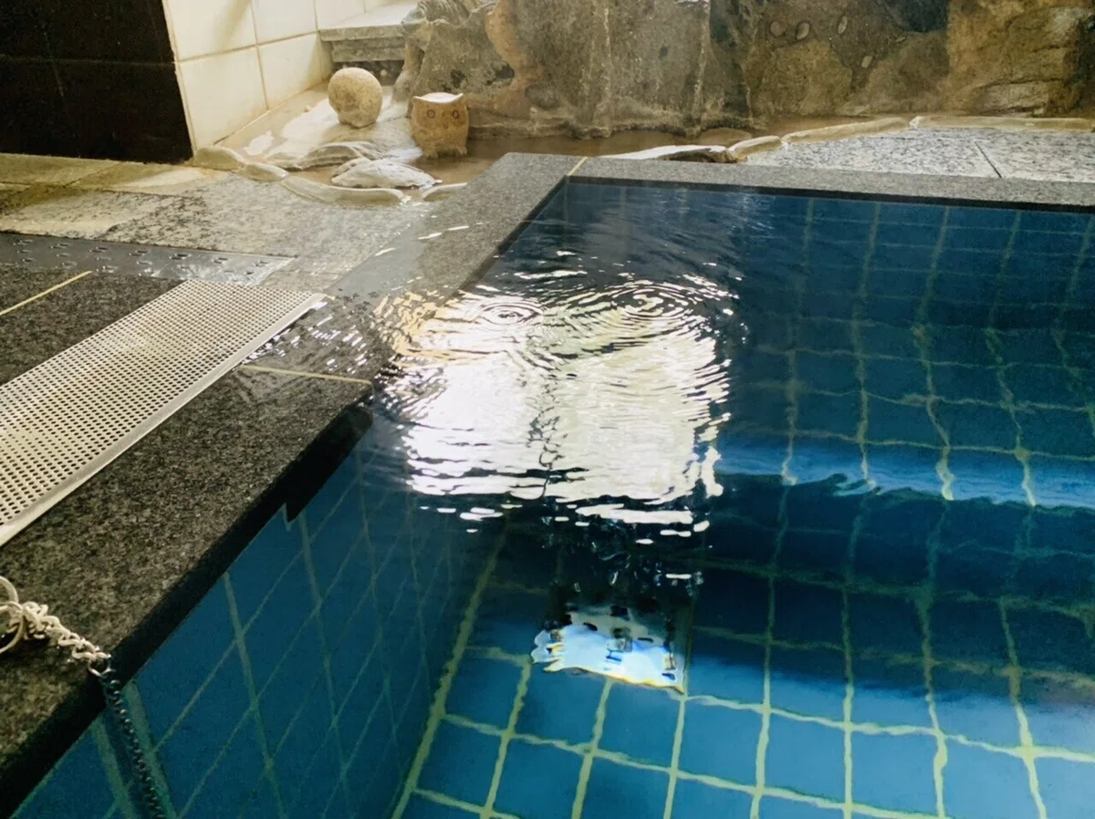 画像4