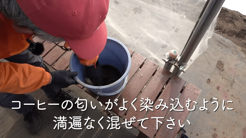ナメクジ対策 コーヒーを使ったナメクジ対策の方法をご紹介 井上寅雄農園 井上隆太朗 Note
