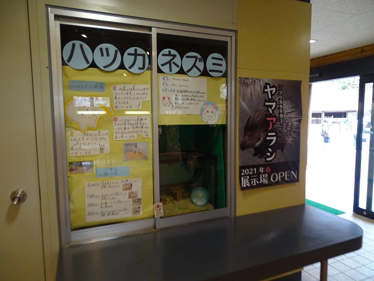画像6