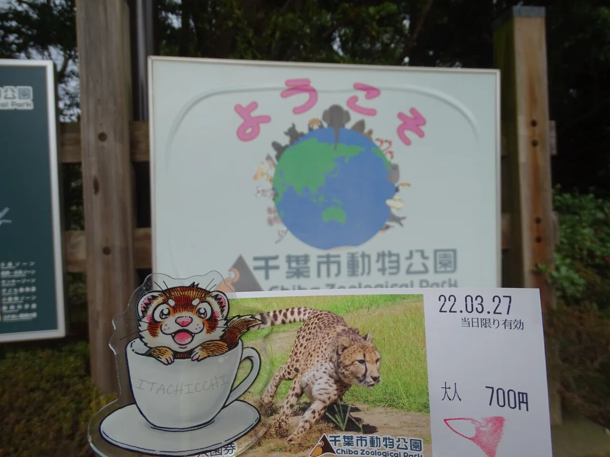 画像44