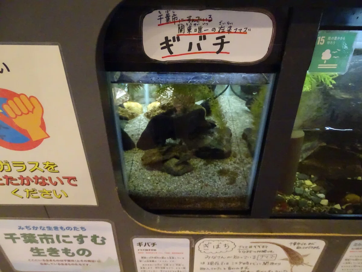 画像3