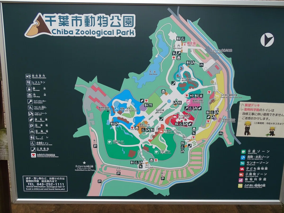 画像37