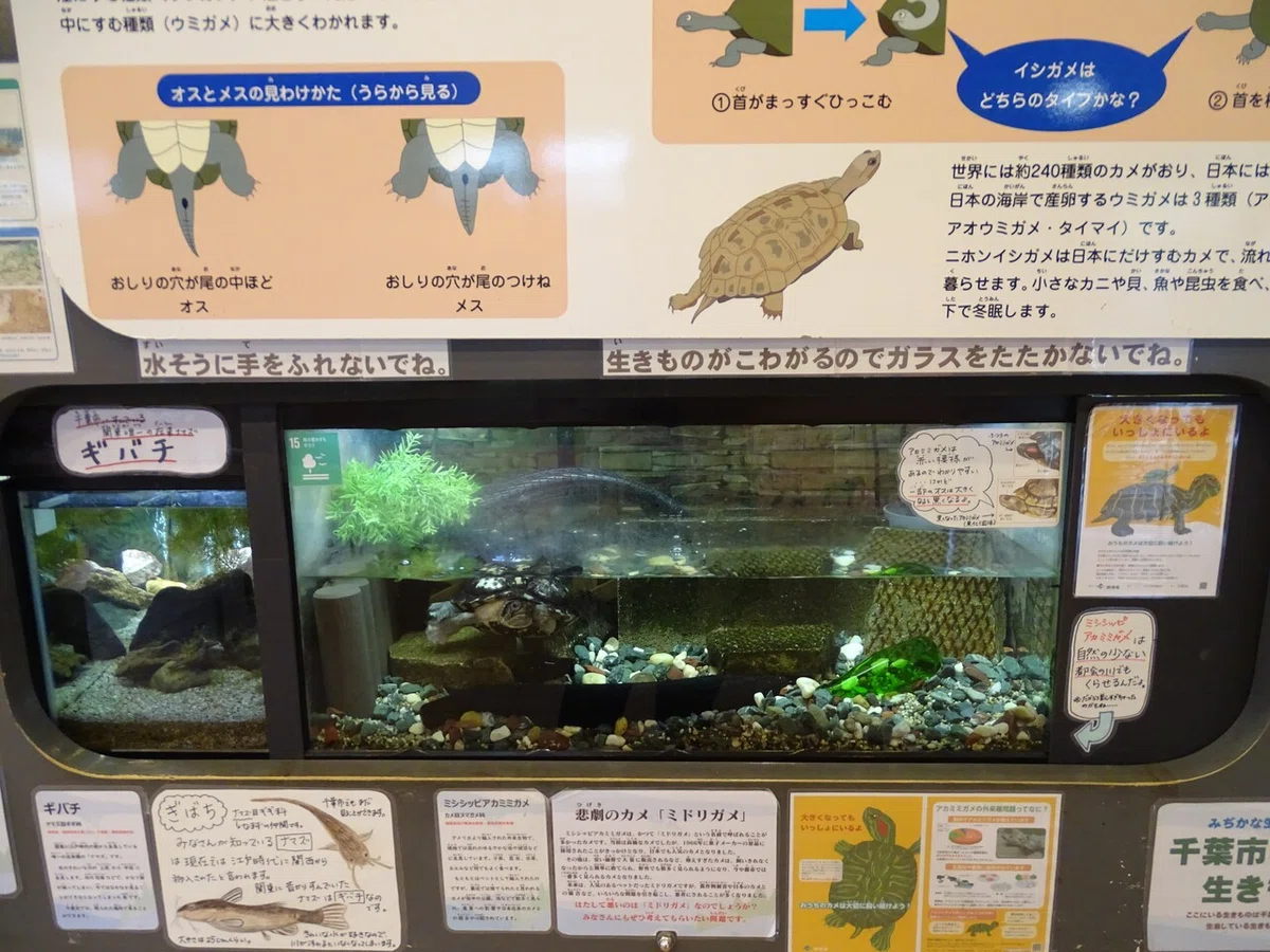 画像1