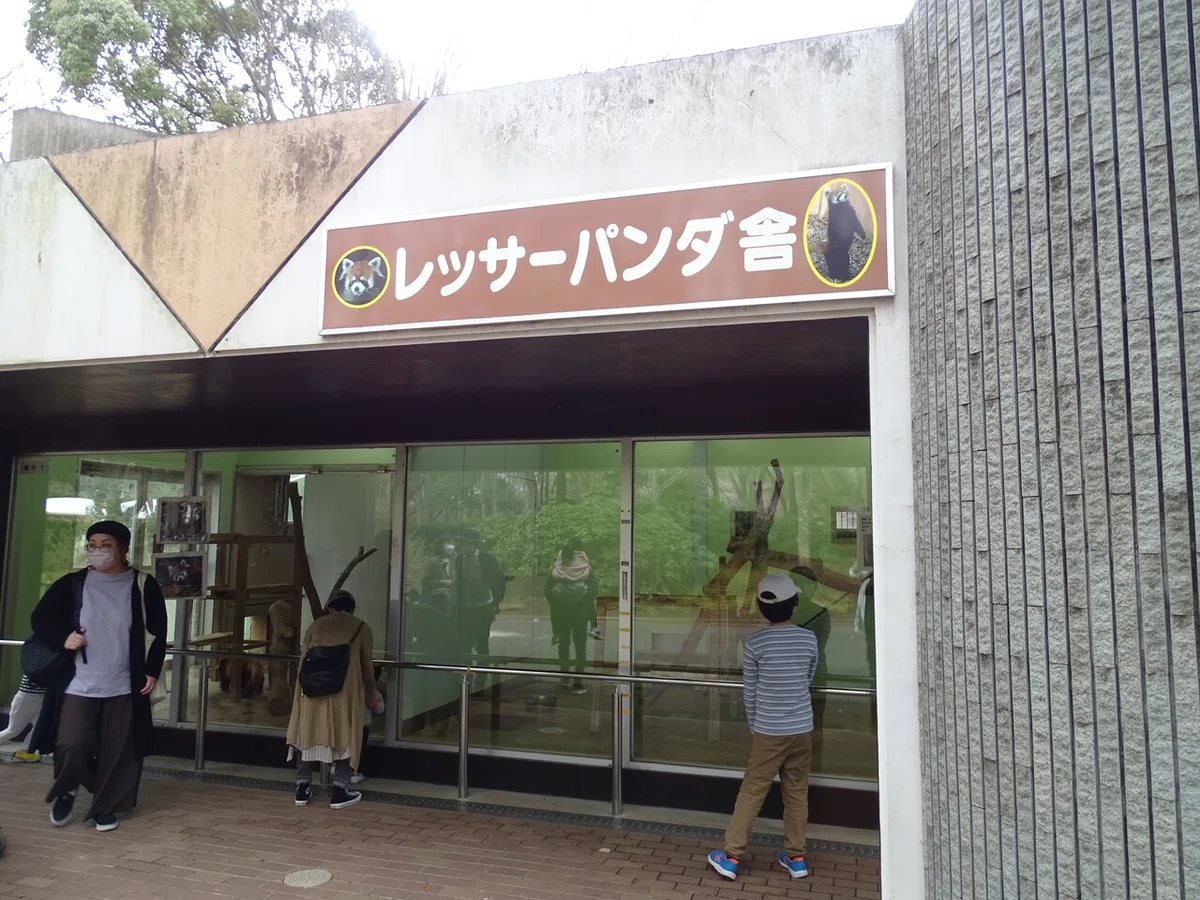画像27