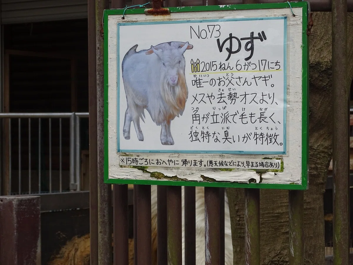 画像20
