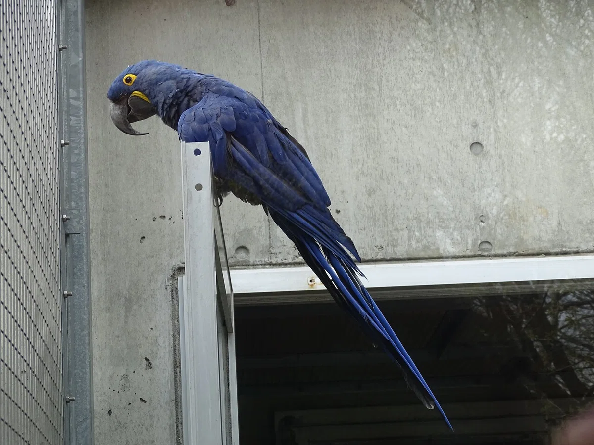 画像123