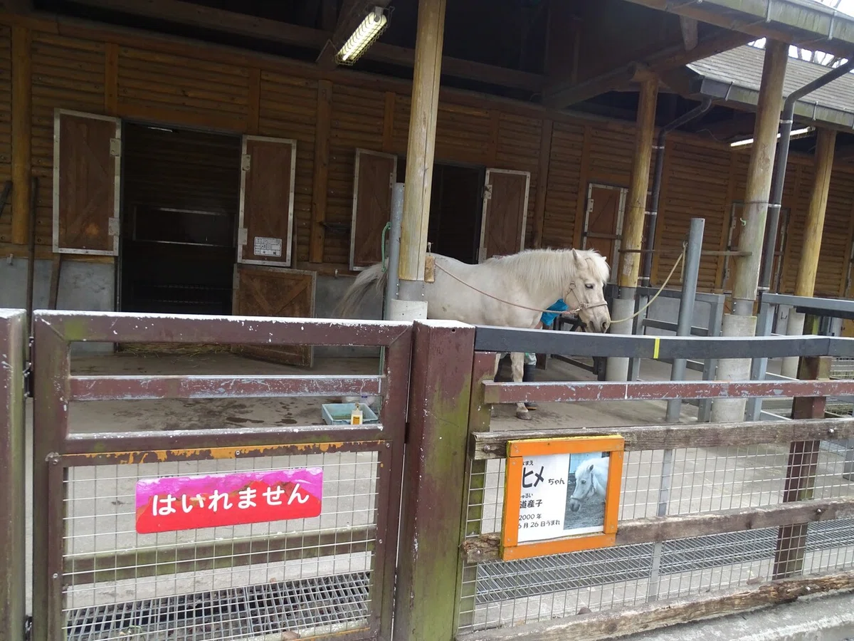 画像112