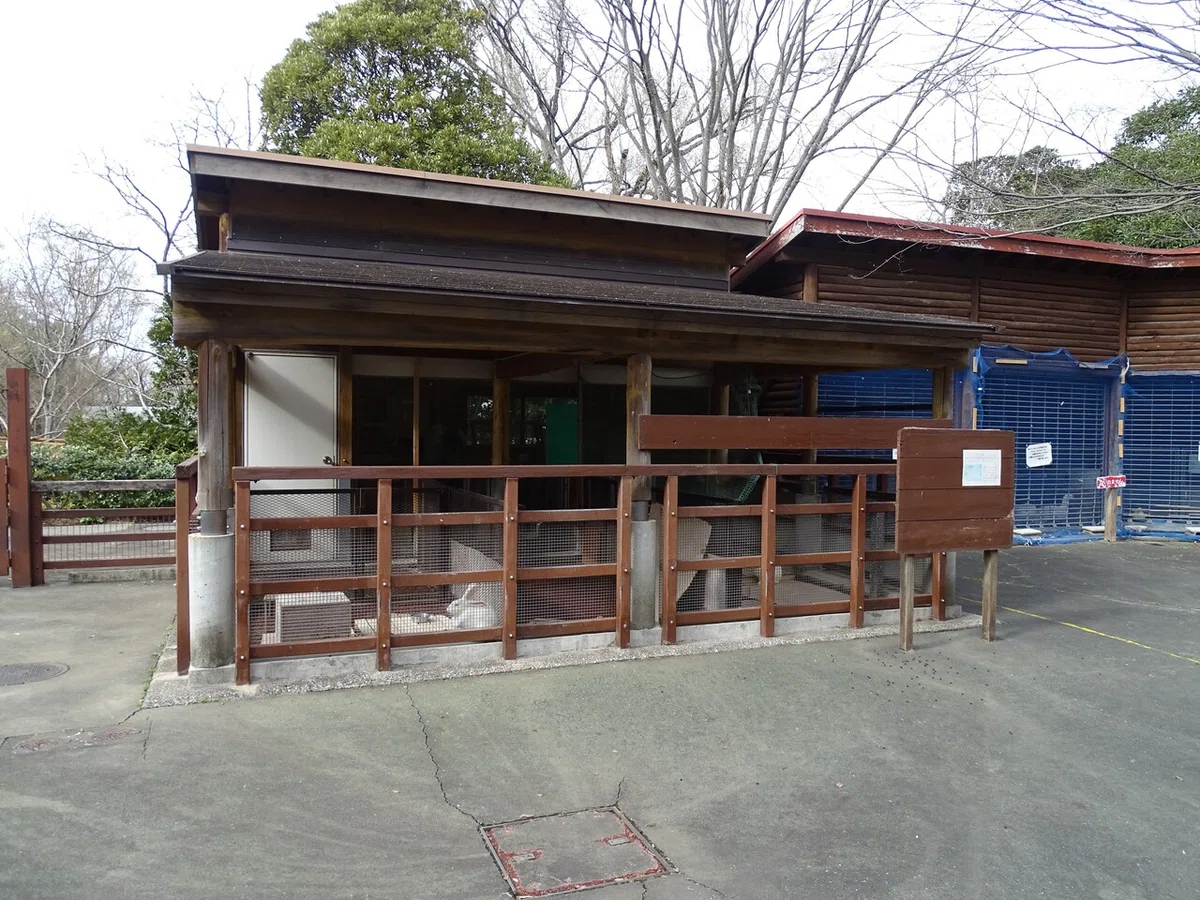 画像8