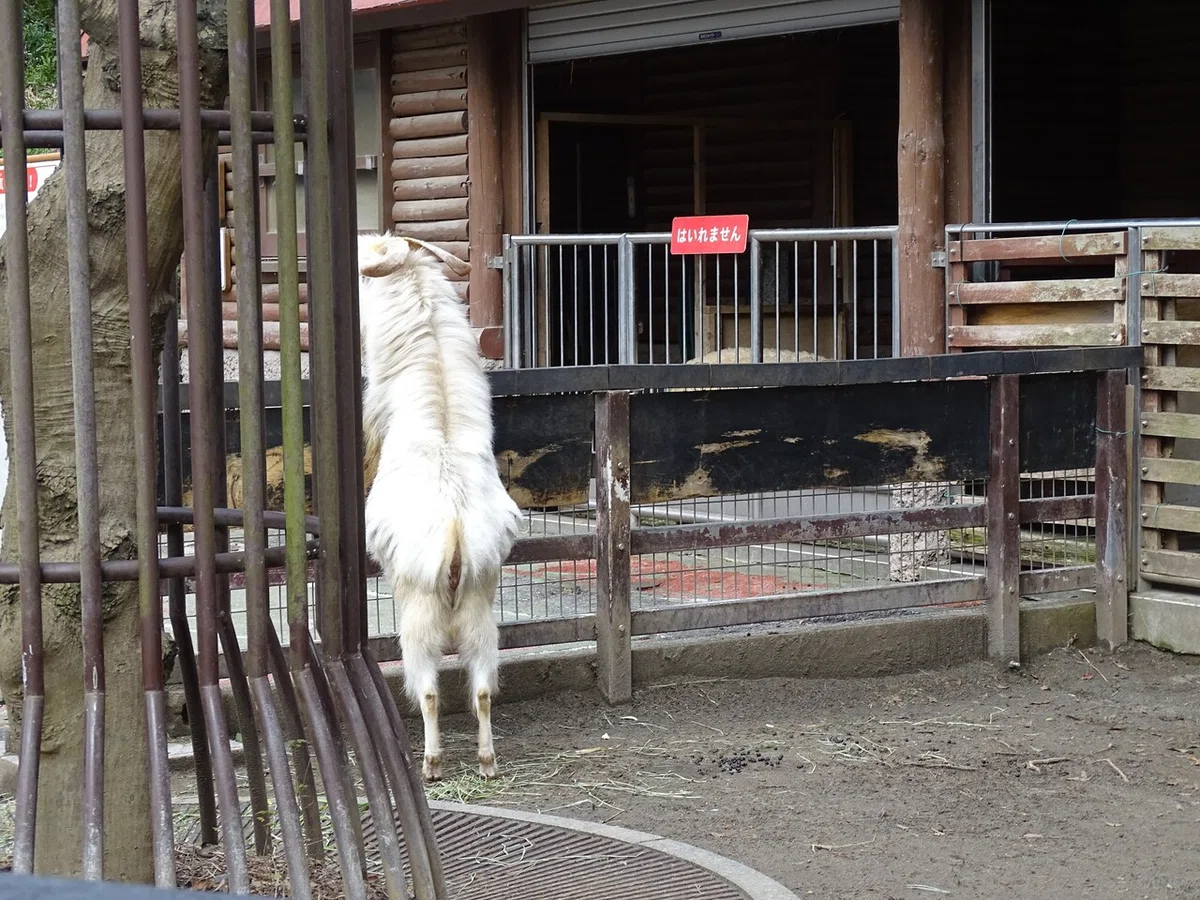 画像19