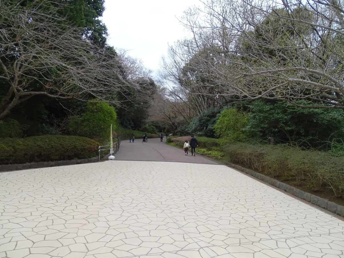画像45