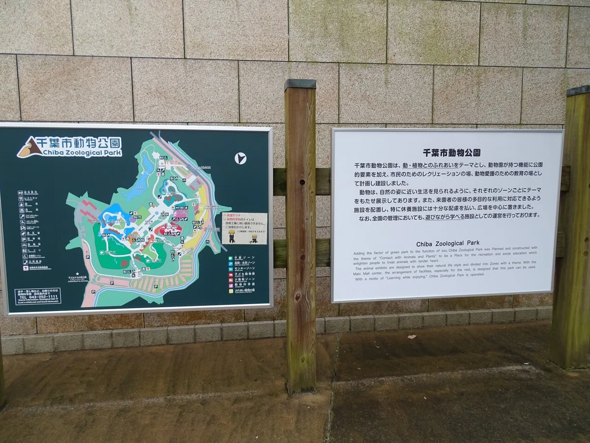 画像36