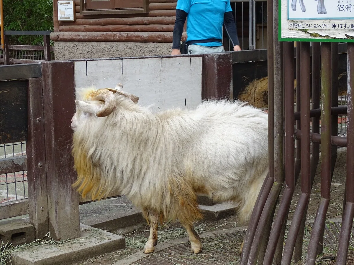 画像21