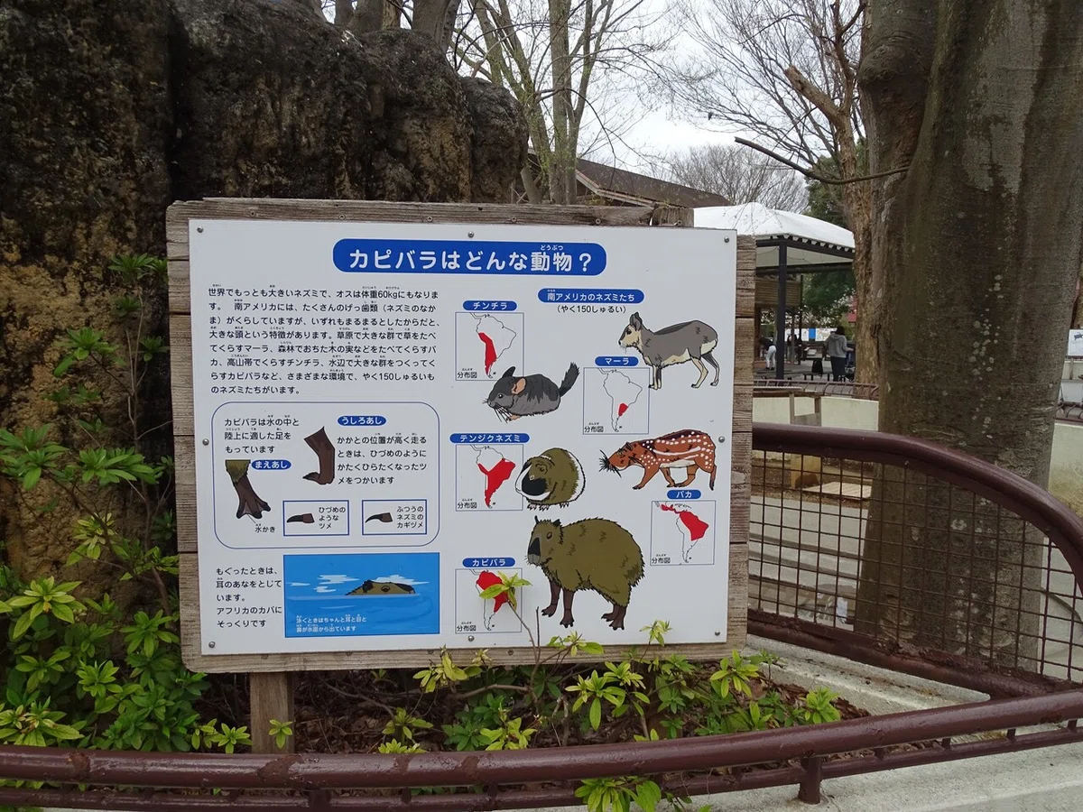 画像118