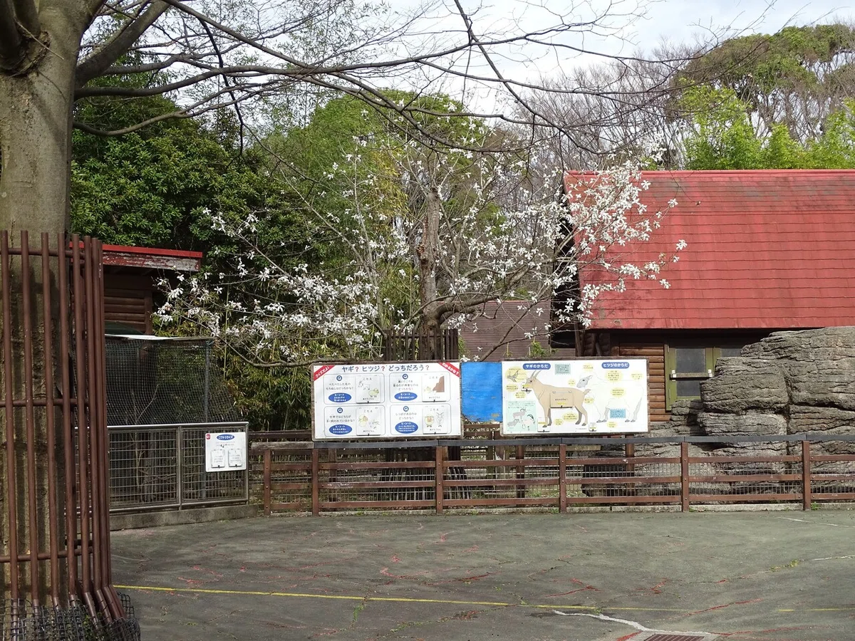 画像12