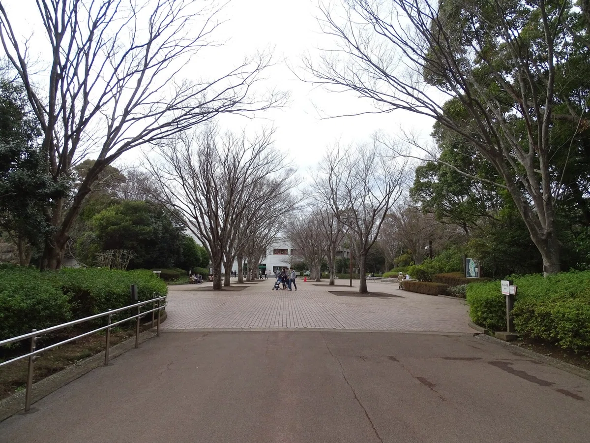 画像47