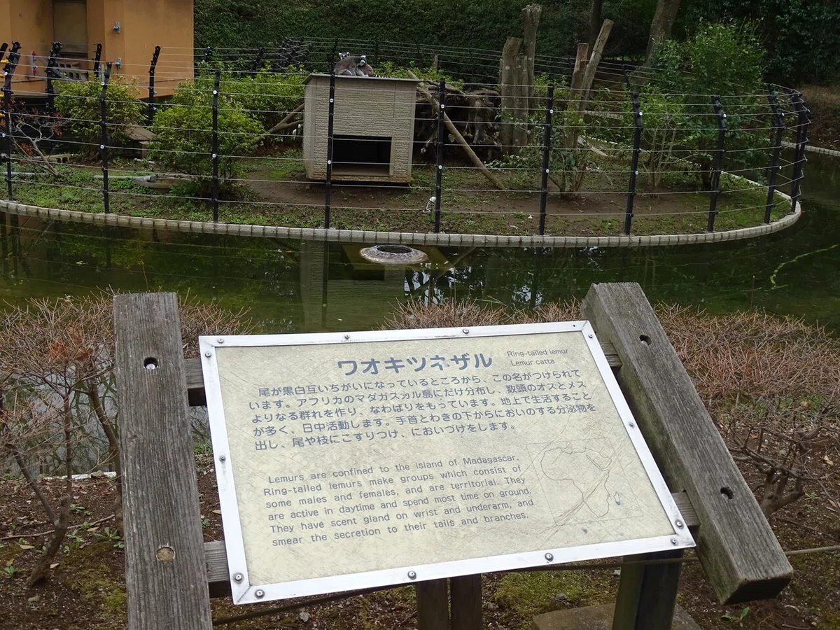 画像58