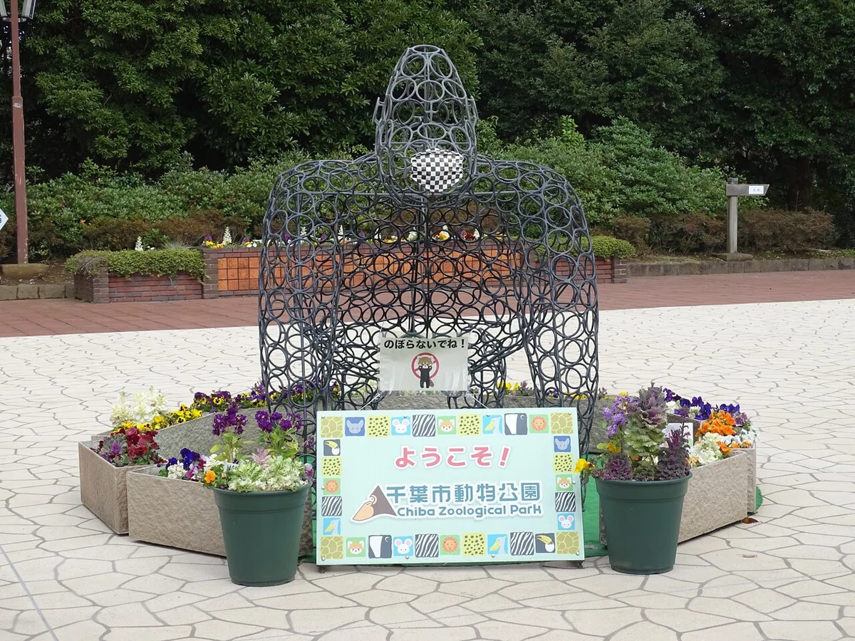 画像40