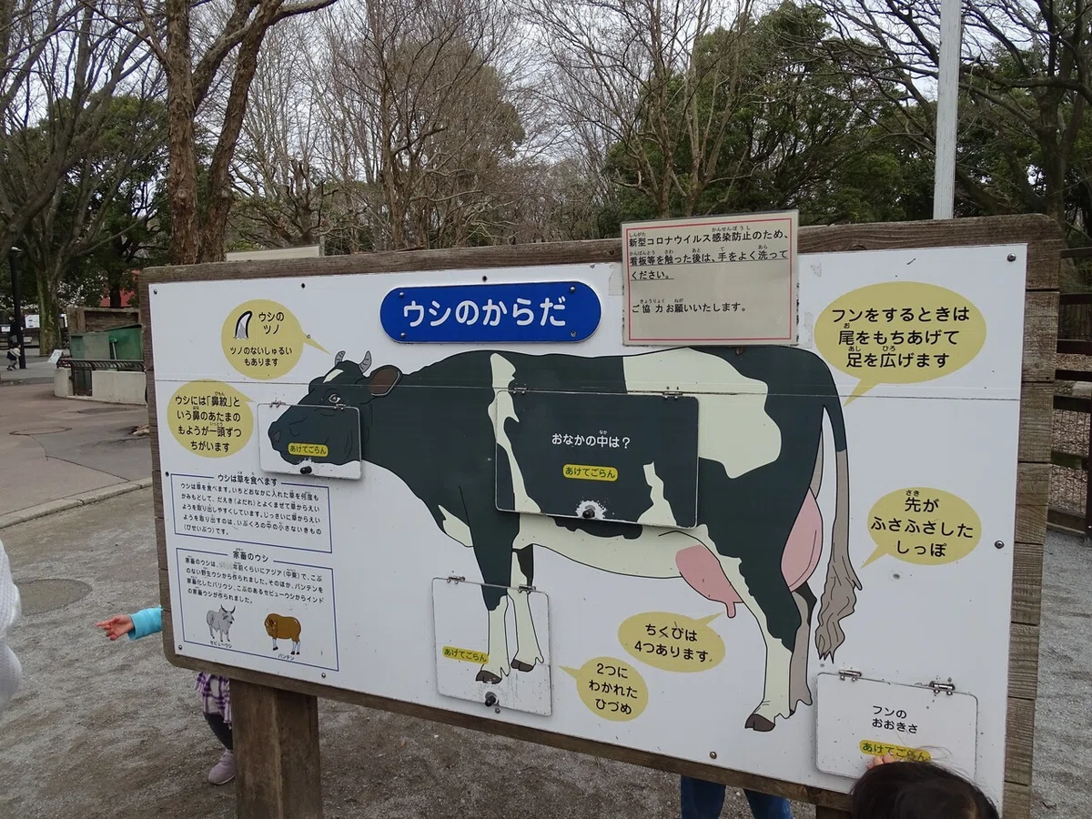 画像117