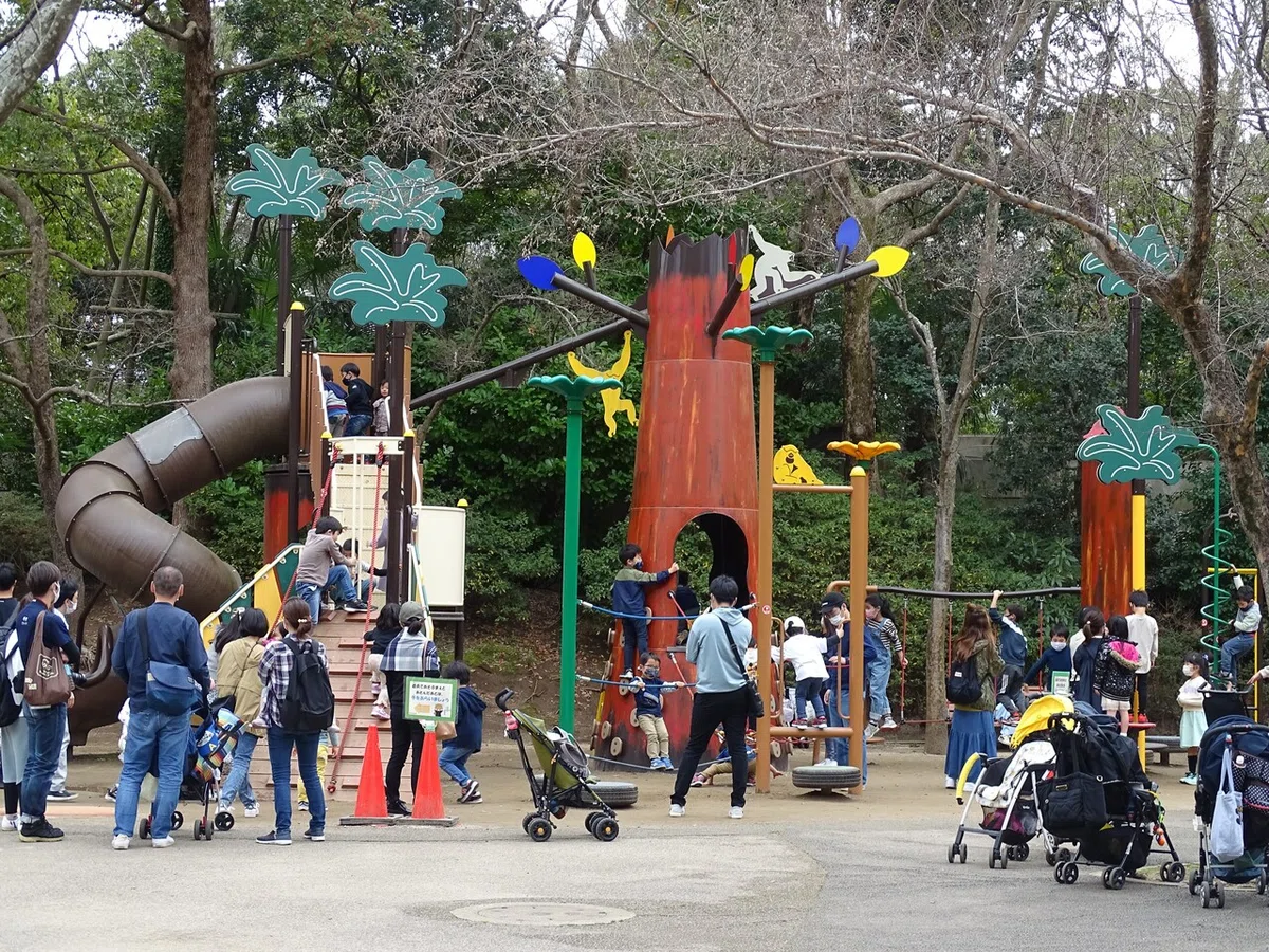 画像52