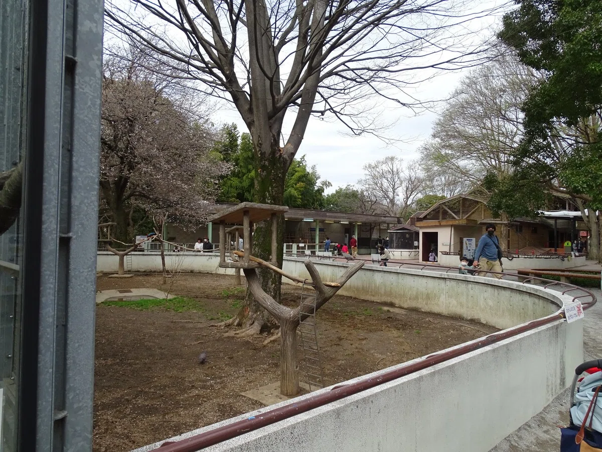画像124
