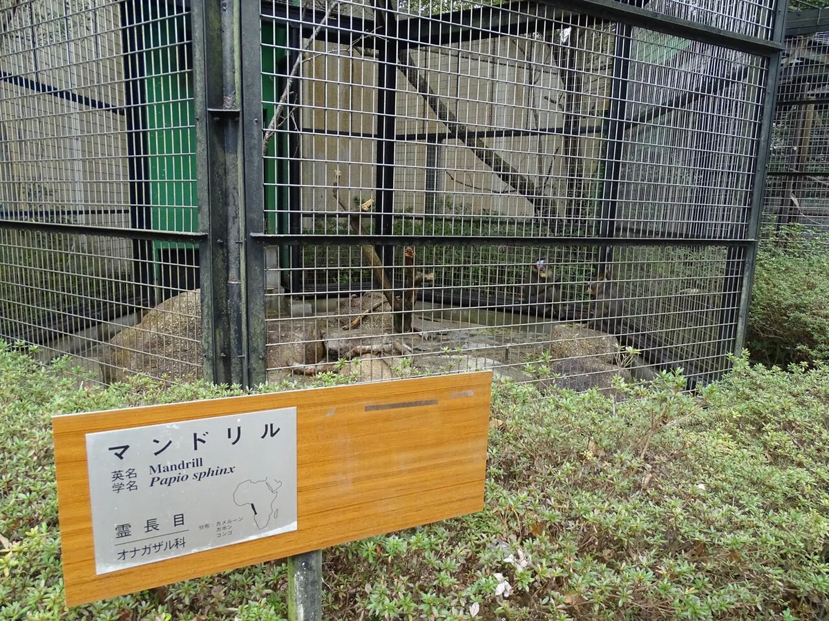 画像73