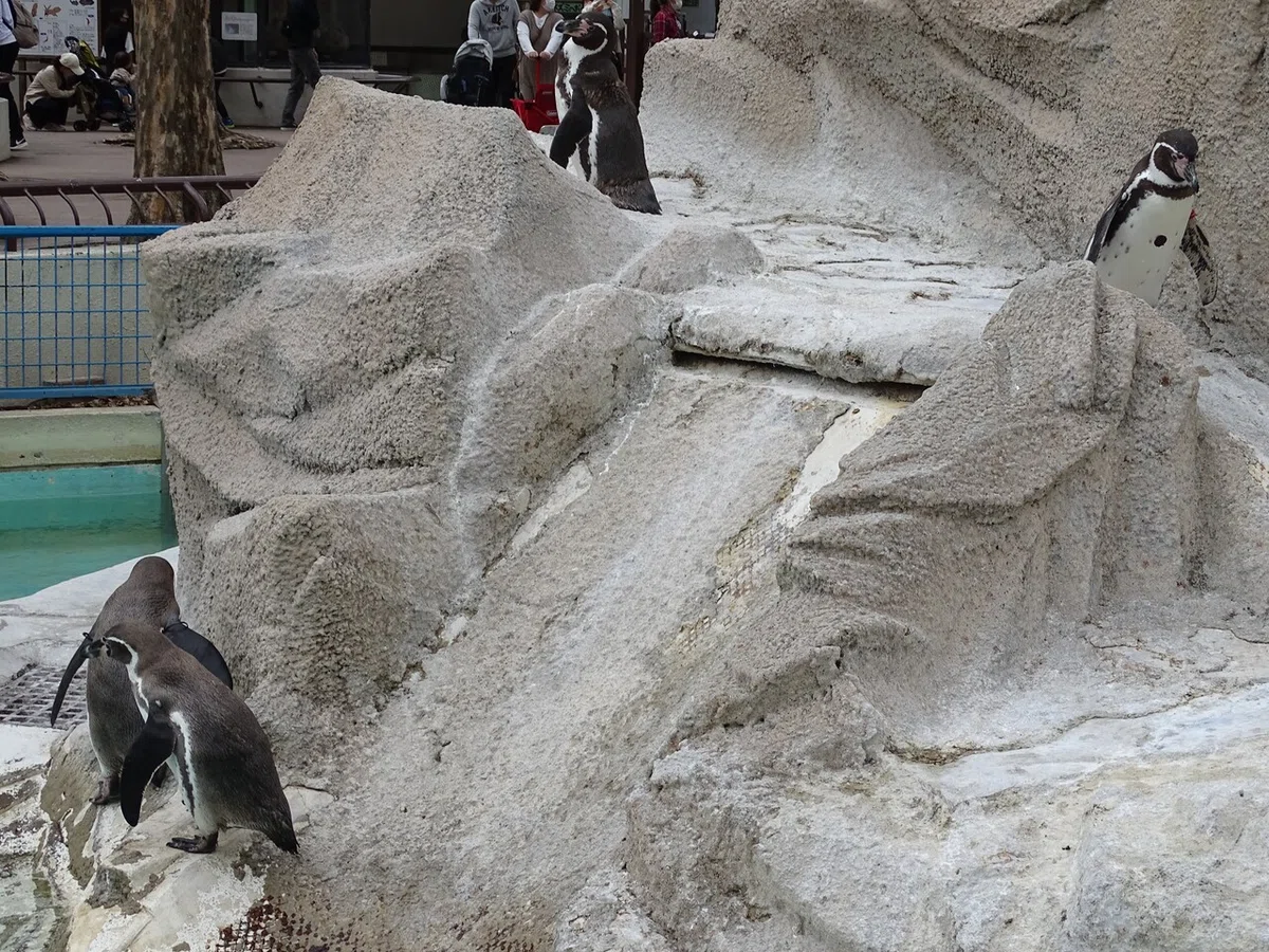 画像109