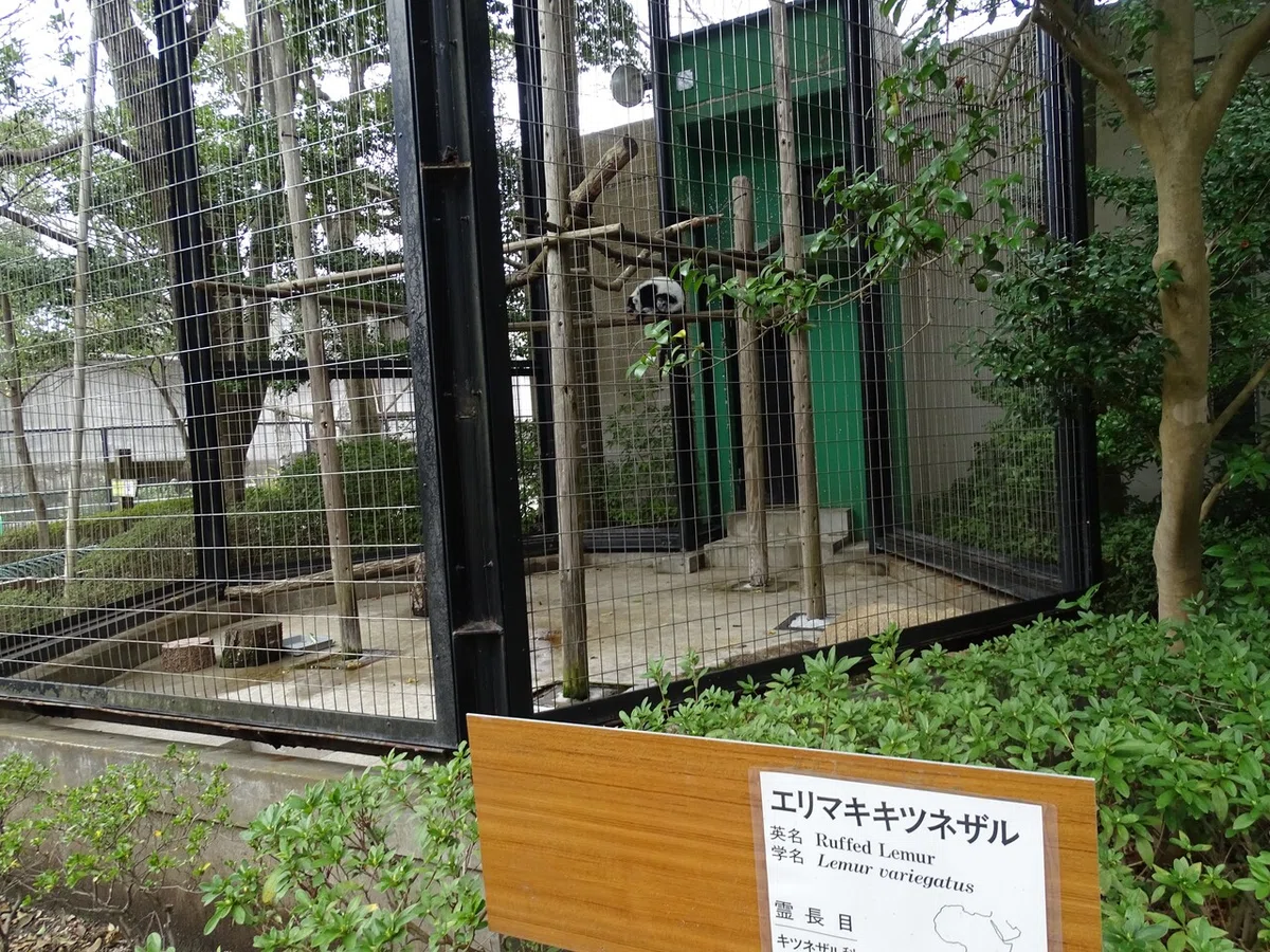 画像90