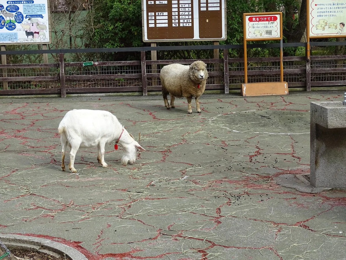 画像17