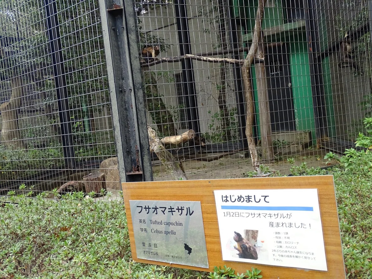 画像65
