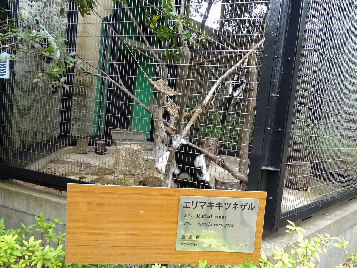 画像83