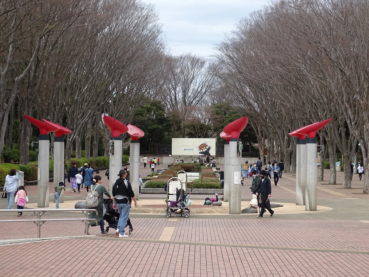 画像48