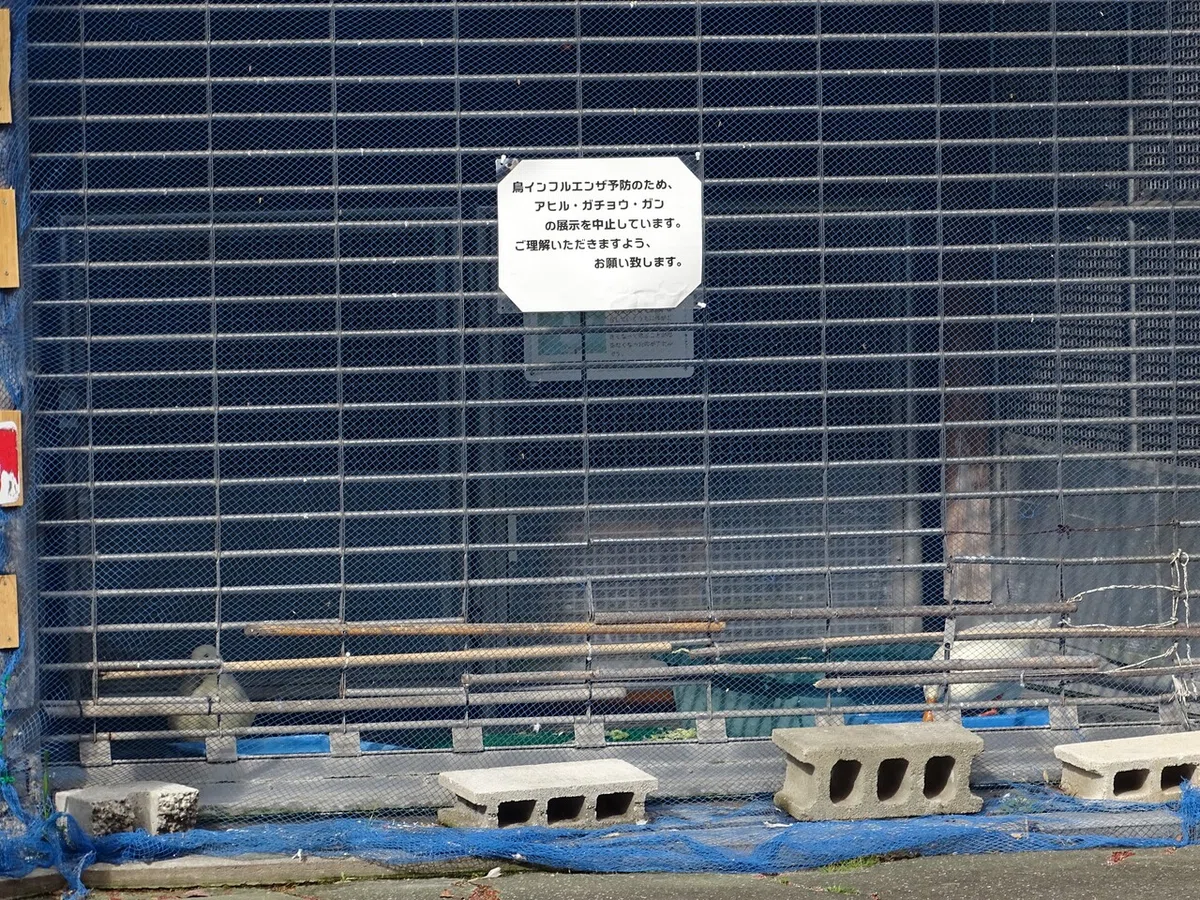 画像14