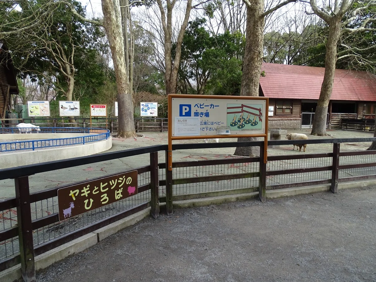 画像16