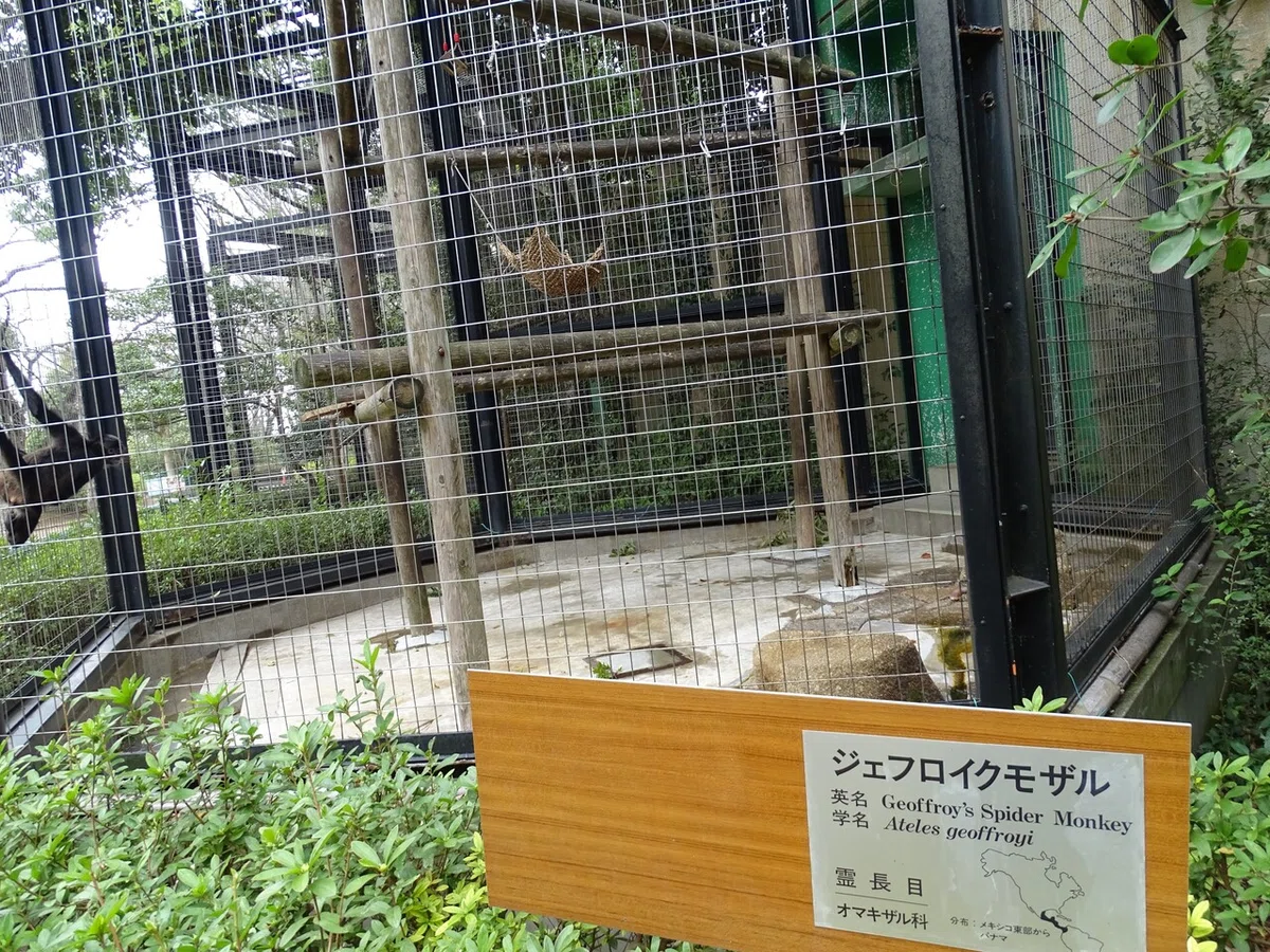 画像86