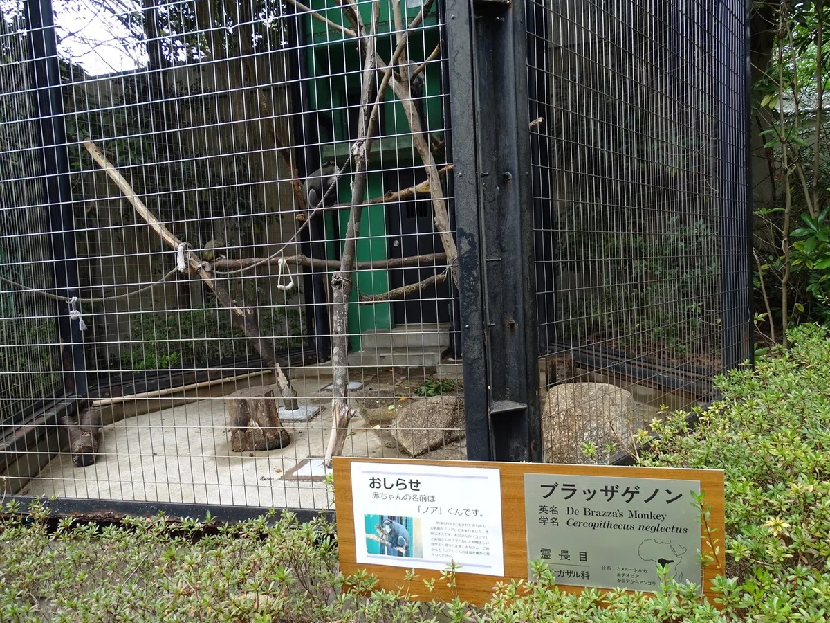 画像80