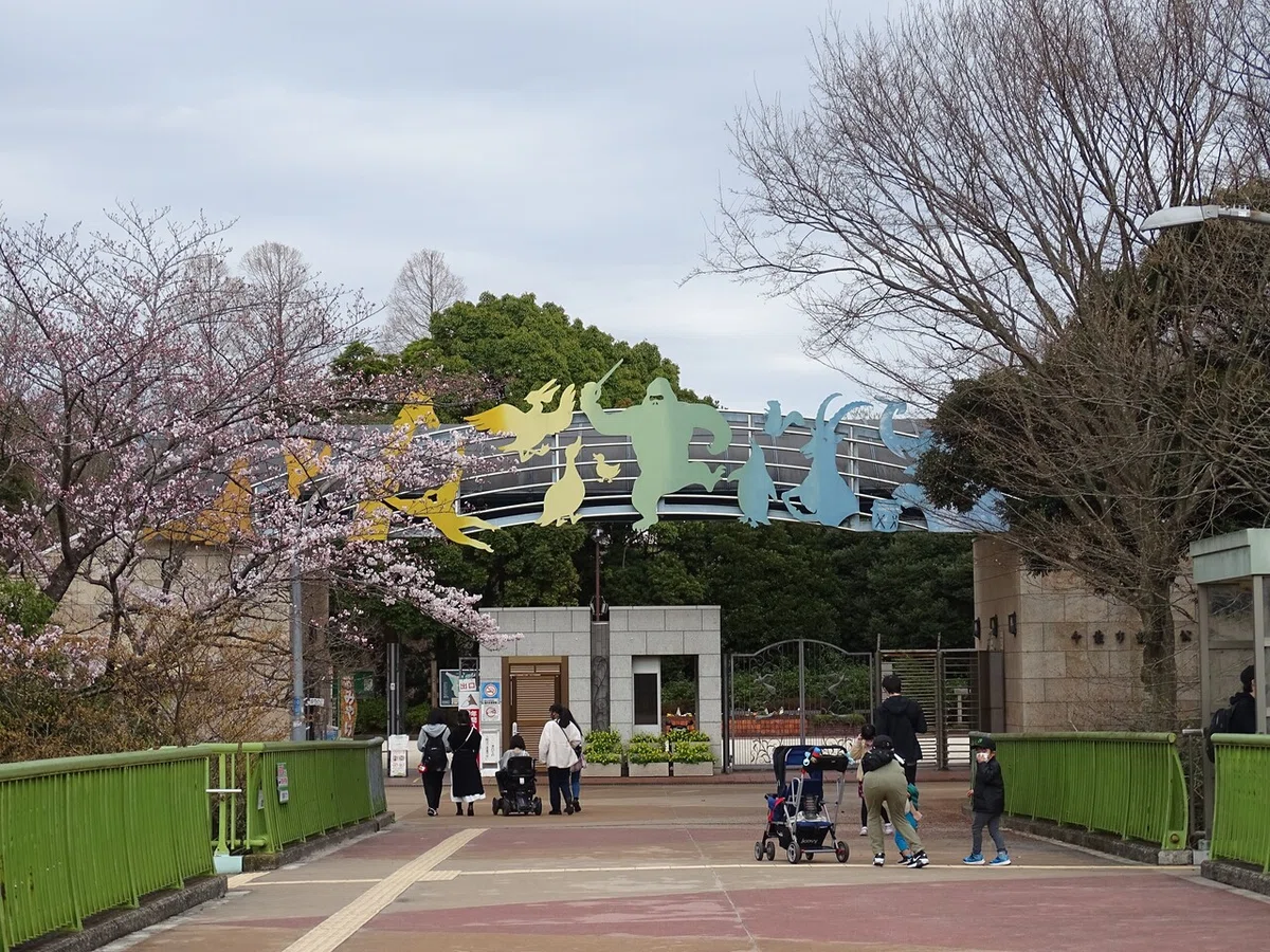 画像34