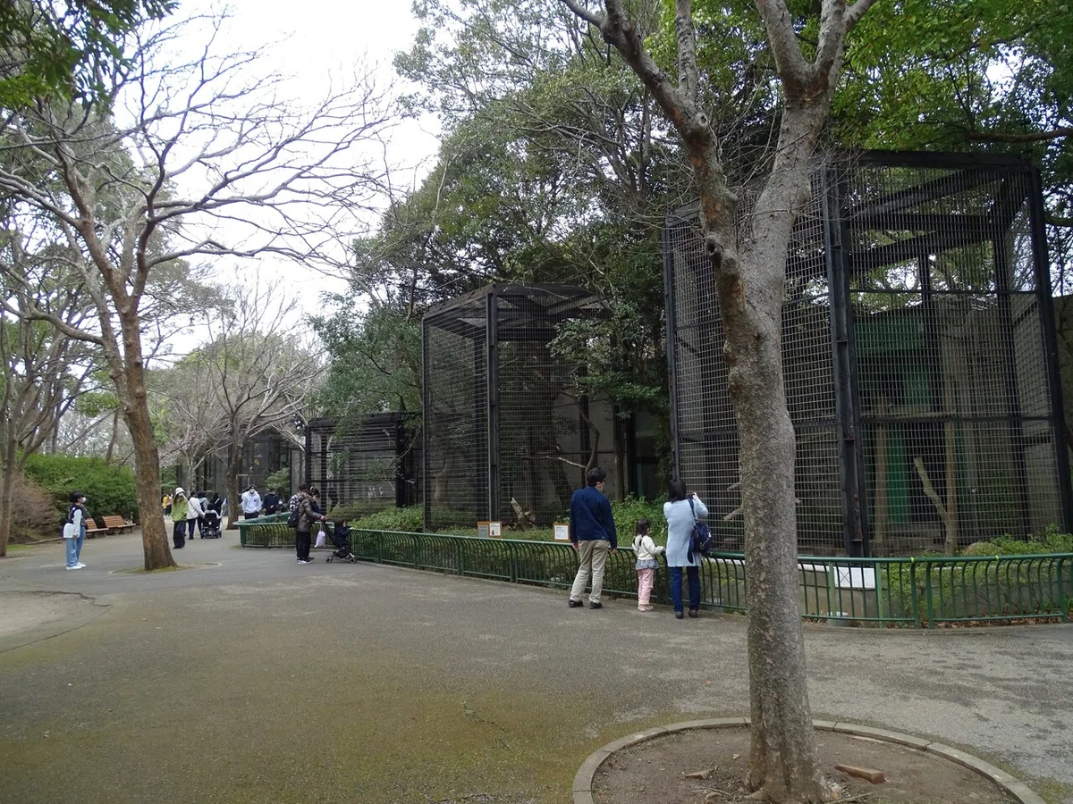 画像62