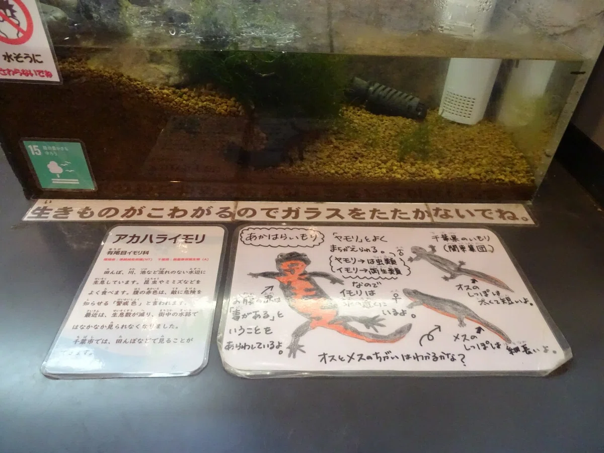 画像148