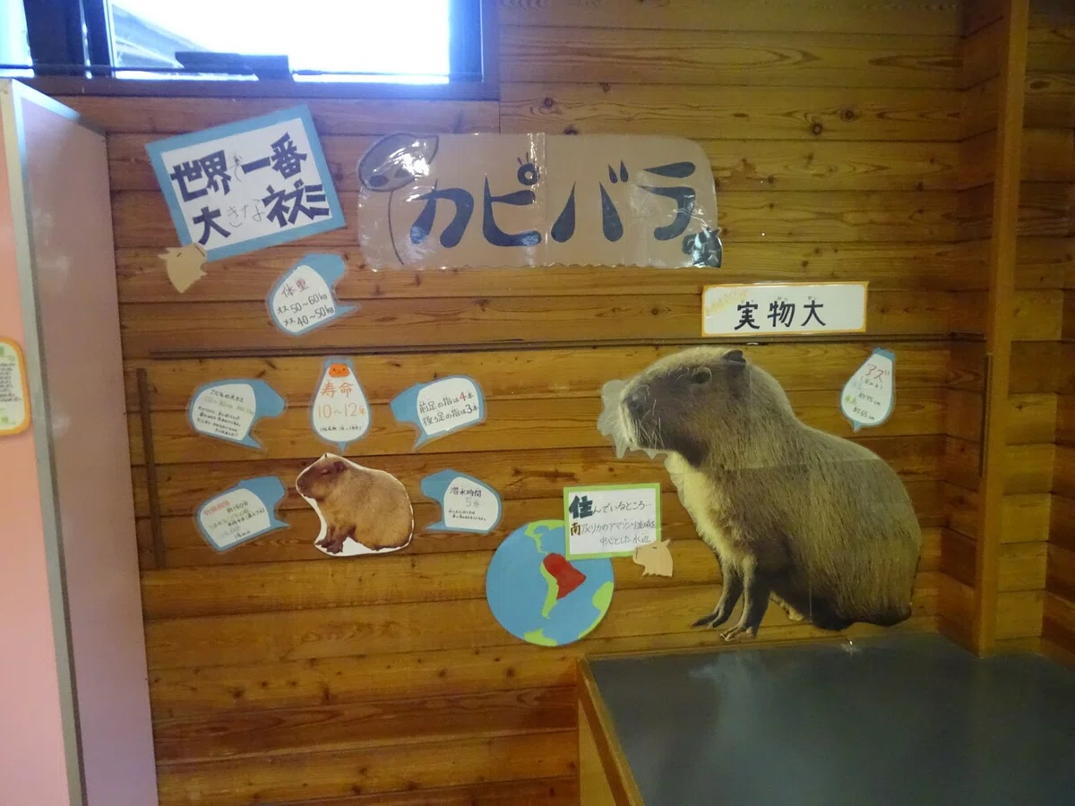 画像147