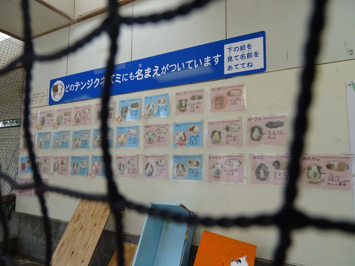 画像140