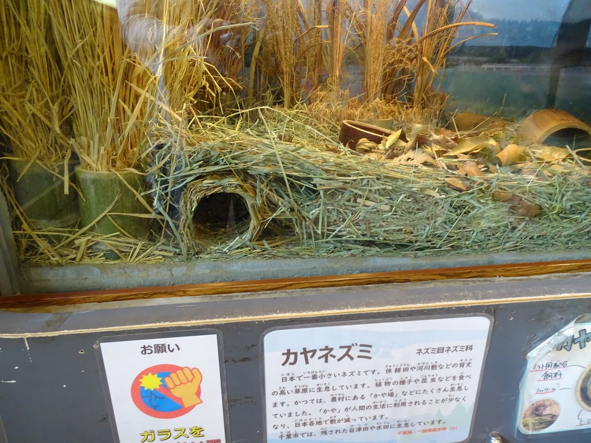 画像150